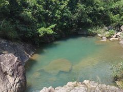 -广州白江湖森林公园