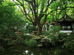 -上海醉白池公园