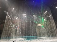 -芜湖新华联大白鲸海洋公园