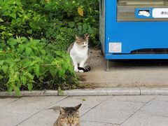 -狼山风景名胜区