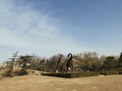 -莲花池公园