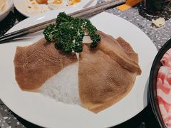-华晟山城火锅(开发区港西东阁里店)
