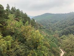 -安吉涵田度假村·水榭居中餐厅