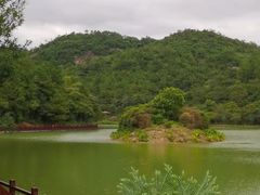 -广州白江湖森林公园