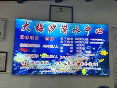 -大梅沙海滨公园