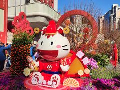 -越秀西湖花市(广州城市广场花卉店)