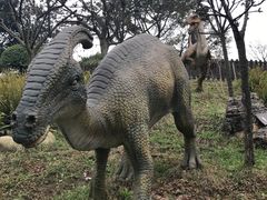 -自贡恐龙博物馆