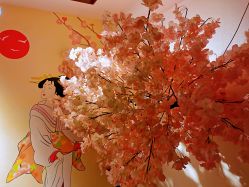 -和·日式轻奢spa