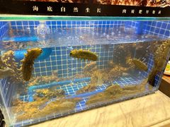 -川骄海鲜自助(河东店)