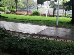 -荔湾湖公园