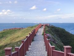 -枸杞岛
