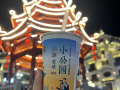 -汕头市小公园
