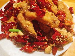 -搓火大都会(广安门总店)