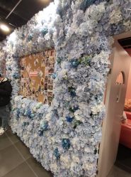 -doladola(徐家汇店)