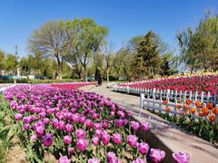 -廊坊文化艺术中心