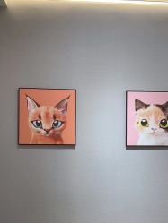 -洗脸猫·洗脸吧