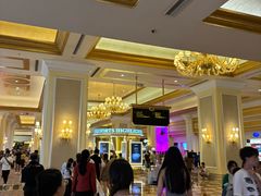 -澳门威尼斯人综合度假区