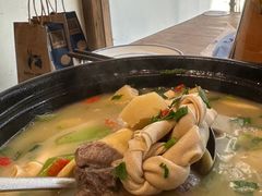 -椿不老