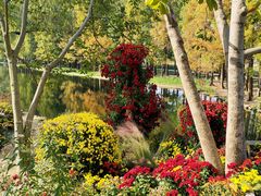 -上海共青森林公园