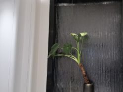 -奥斯芬·欧系贵族SPA