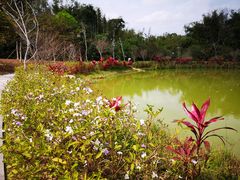 -大屏嶂森林公园
