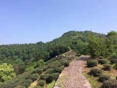iphone_upload_pic-西湖风景区十里琅珰-五云山