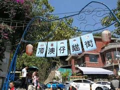 -猫咪博物馆(顶澳仔猫街店)