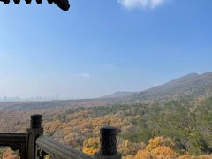 -灵谷景区