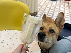-CREAM STORY意大利手工冰淇淋&甜品(万象前海店)