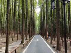 -山王坪喀斯特国家生态公园