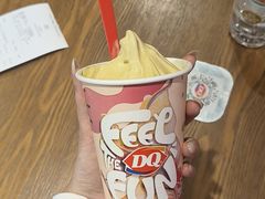 开心果风味暴风雪-DQ·蛋糕·冰淇淋(龙茗店)