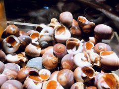 -舟山希尔顿酒店