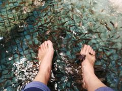 -泰国鱼疗足疗馆