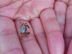 -青岛石老人海水浴场