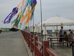 -启东黄金海滩景区