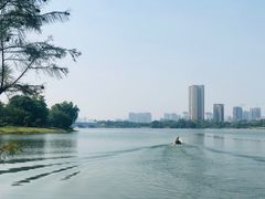 -飞来湖湿地公园