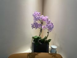 -S&G Beauty轻奢皮肤管理中心