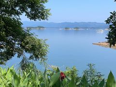 -宝荣鱼馆·临湖之宴(千岛湖店)