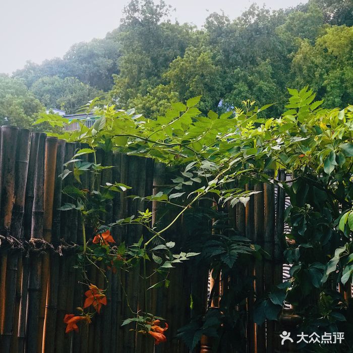 吴山居(河坊街店)-图片-杭州酒店-大众点评网