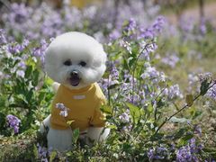 -乐琪宠物(青塔西路店)