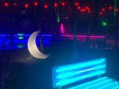 -枫花园汽车电影院(朝阳公园店)