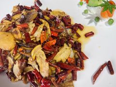 干辣椒炒美味牛肝菌-蔼若春.传承云南菜(金碧公园店)