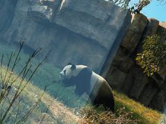 -宁波野生动物园