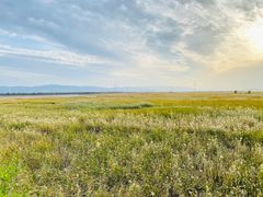 -野鸭湖国家湿地公园