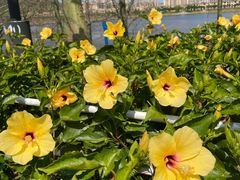 -风云岭森林公园