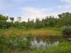 -白鹭湾湿地公园