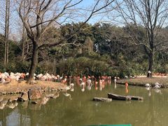 -上海野生动物园