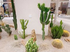 -OUR Bakery(SKP-S店)