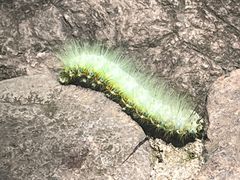 -小钱鱼馆(富春路店)