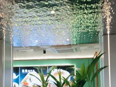 -探窝·竹笙椰子鸡(杨箕店)